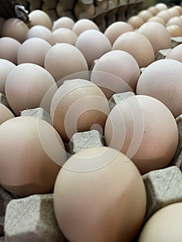 Organica Chicken eggs photo