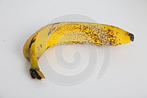 Organically grown banana photo