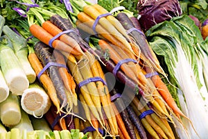 Organically Grown Carrots and Vegetable