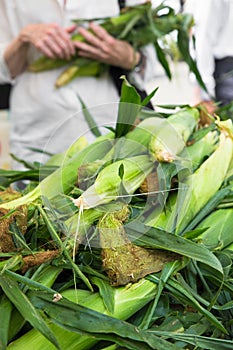 Organically grown corn at farmers market