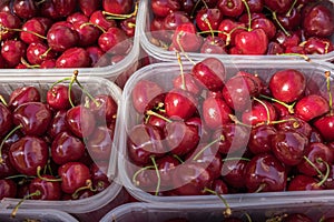 Organics cherries in plastic boxes sold at local city market