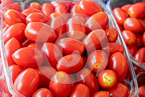Organics cherry tomatoes at city farmers market