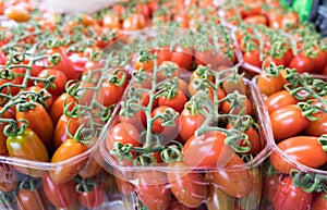 Organics cherry tomatoes at city market