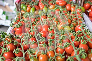 Organics cherry tomatoes at city market