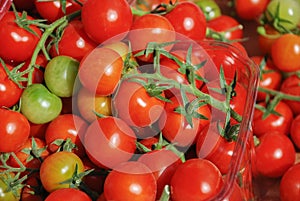 Organics cherry tomatoes at city market