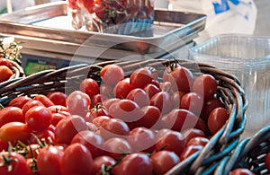 Organics cherry tomatoes at city market