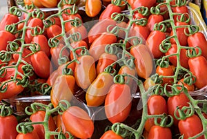 Organics cherry tomatoes at farmers market