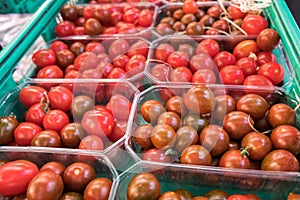 Organics cherry tomatoes in plastic boxes