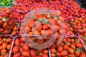 Organics cherry tomatoes for sale at city market