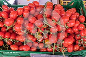 Organics cherry tomatoes for sale at Porto market (Mercado do Bolhao