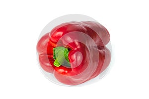 Organics red Bell pepper