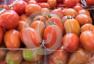 Organics tomatoes at farmers market