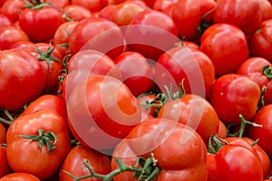 Organics tomatoes at farmers market. Jerusalem