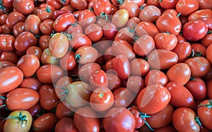 Organics tomatoes for sale at city market