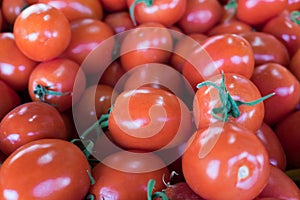 Organics tomatoes sold at farmers market