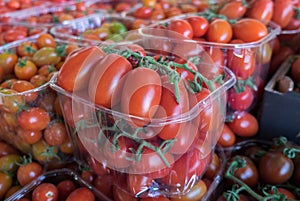 Organics tomatoes sold on farmers market