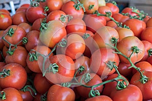 Organics tomatoes sold on local farmers market