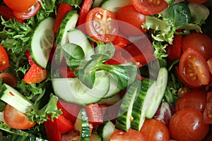 Organicsalad