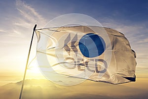 Organisation for Economic Co-operation and Development OECD flag textile cloth fabric waving on the top sunrise mist fog