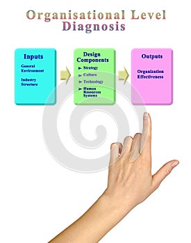 Organisational Level Diagnosis