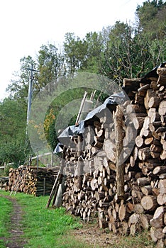 Organised cut wood