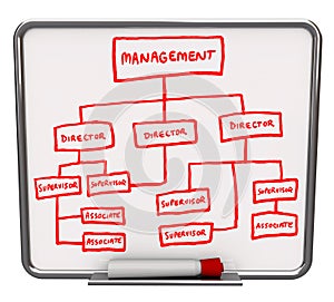 Organizaitonal Chart - Dry Erase Board photo