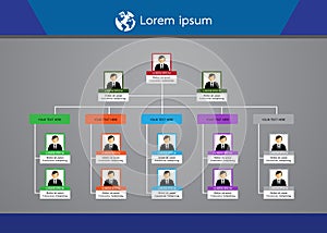 Organization Chart Infographics