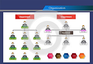 Organization Chart Infographics