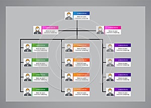Organization Chart Infographics