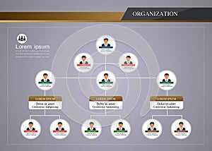 Organization Chart Infographics