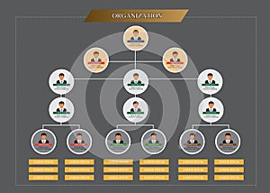 Organization Chart Infographics