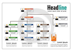 Organization Chart Infographics.