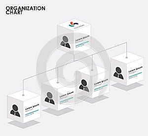 Organization chart infographics with tree, Box organization