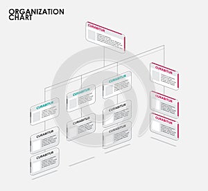 Organization chart infographics with tree, Diagram flow. vector