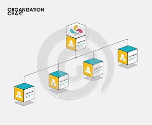 Organization chart infographics with tree, Diagram flow. vector