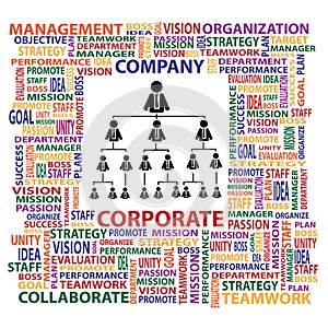 Organization and corporate structure in company fo