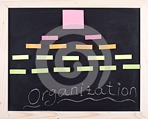 Organization diagram