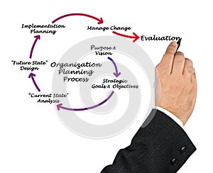 Organization Planning Process