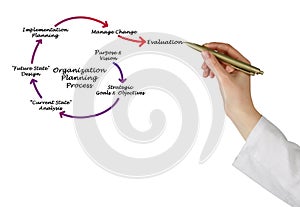 Organization Planning Process