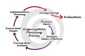 Organization Planning Process