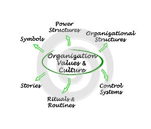 Organization Values & Culture