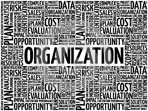 Organization word cloud collage