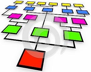 Organizational Chart - Colored Boxes