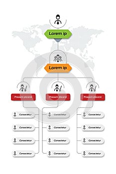 An organizational chart indicates the position of the organization or company.