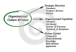 Organizational Culture&Values