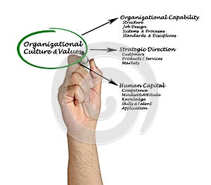 Organizational Culture&Values