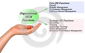 Organizational HCM Functions