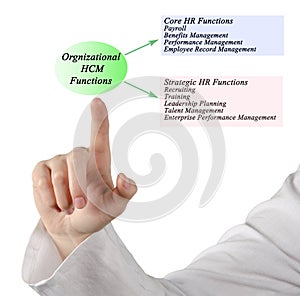 Organizational HCM Functions