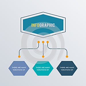 Organizational hexagon infographics template design. Business concept infograph with 3 options, steps, or processes. Vector