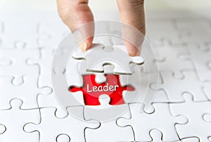 Organizational leadership concepts jigsaw puzzle for succeed